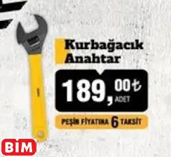 SGS KURBAĞACIK ANAHTAR